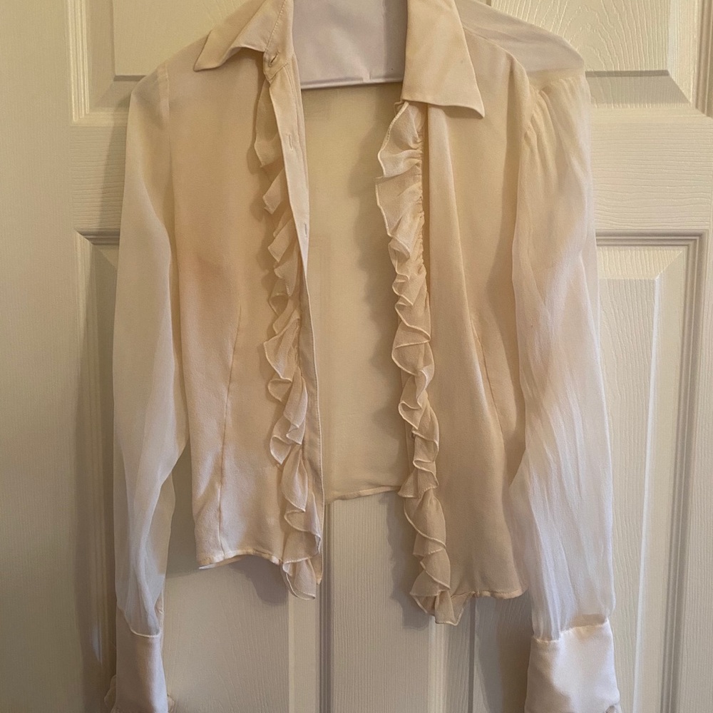 Sheer ruffle button-up blouse